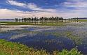 028 yellowstone lake